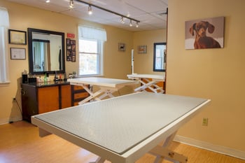I’m looking for hands-on grooming training.